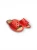DL5-02 (3).webp