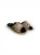 DL7-01 (3).webp
